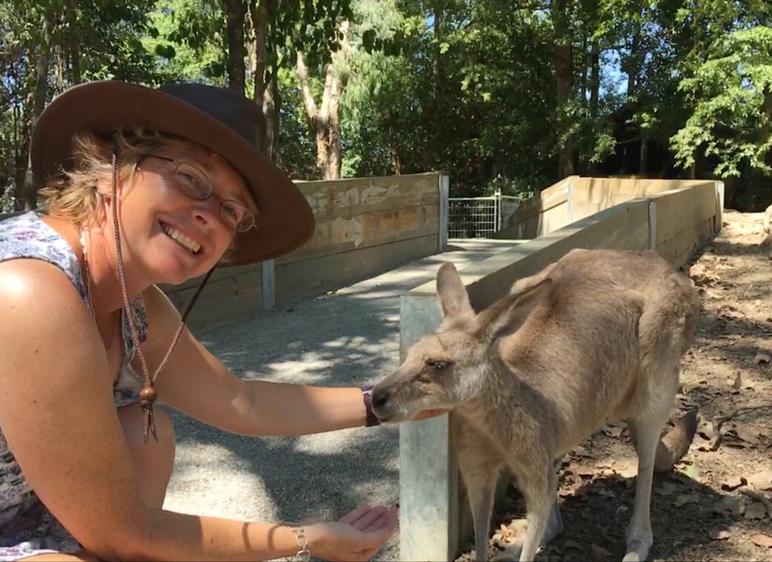 Port Douglas / QLD / Australia - 10/27/18