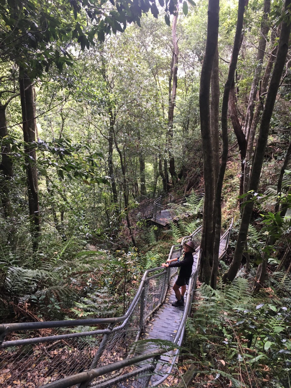 NSW / Australia - 11/22/18