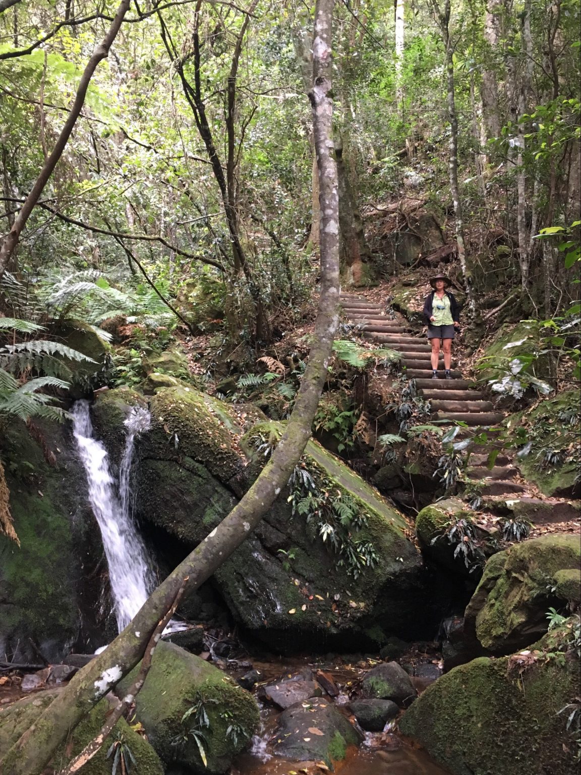 NSW / Australia - 11/22/18