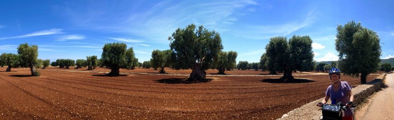 Monopoli / Apulia / Italy - 5/24/19